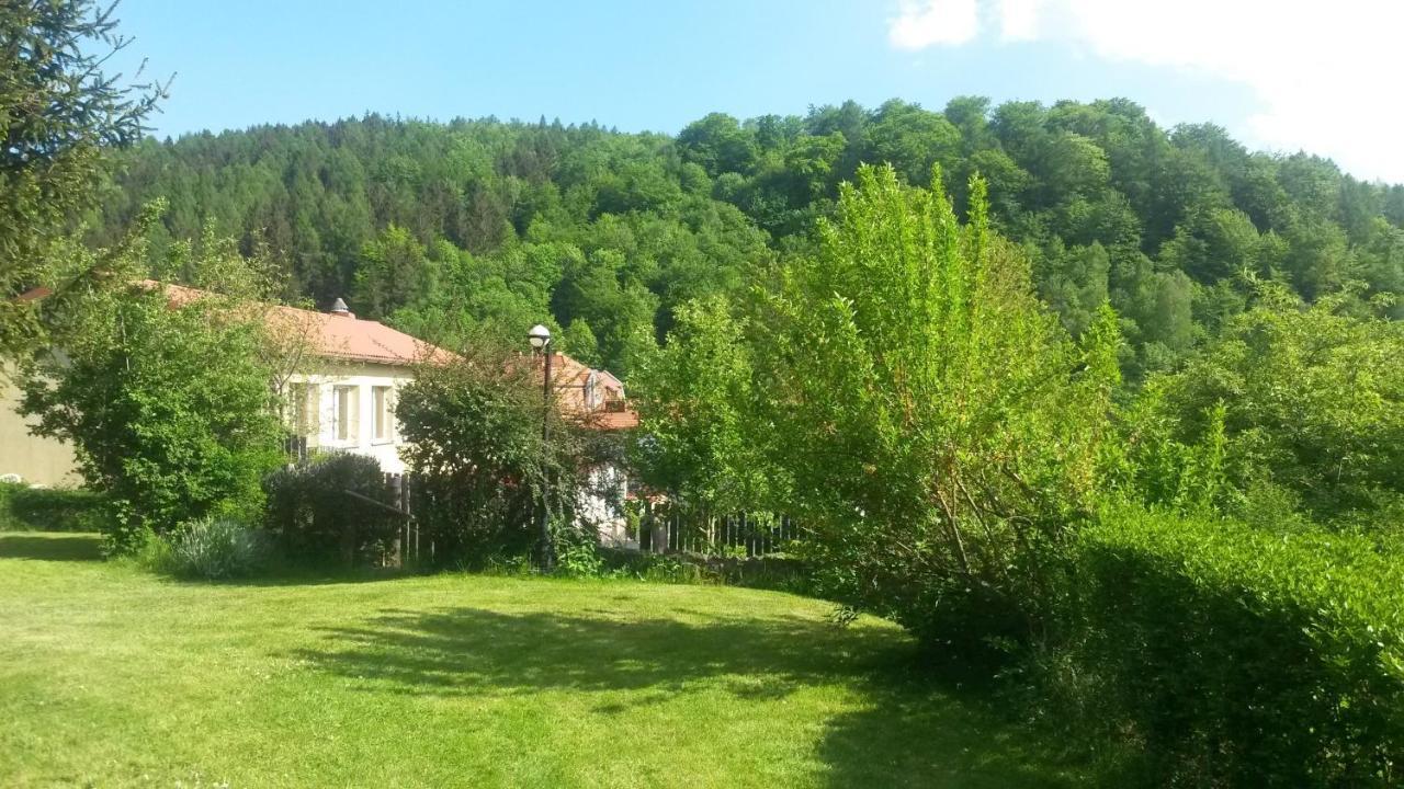 Zielone Wzgorze Hostel Валбжих Екстериор снимка