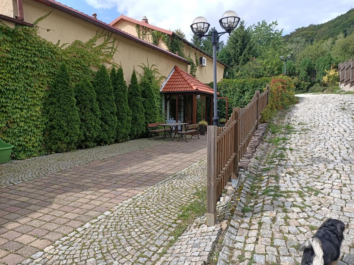 Zielone Wzgorze Hostel Валбжих Екстериор снимка