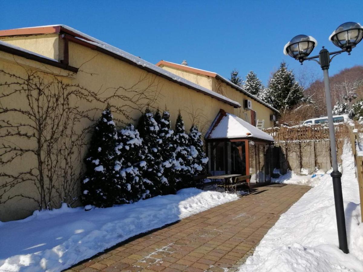 Zielone Wzgorze Hostel Валбжих Екстериор снимка